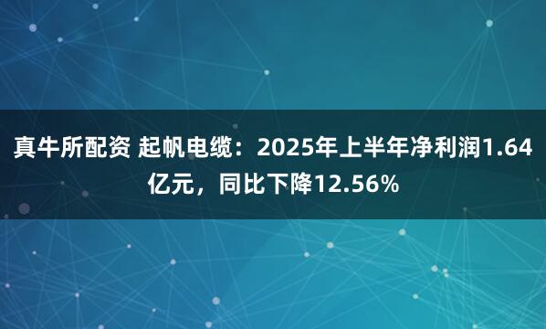 真牛所配资 起帆电缆：2025年上半年净利润1.64亿元，同比下降12.56%