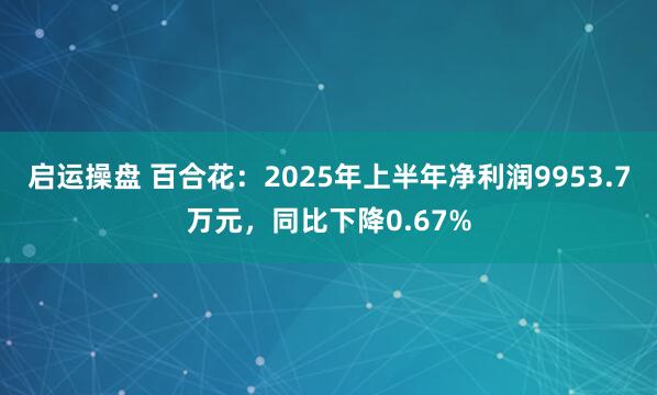 启运操盘 百合花：2025年上半年净利润9953.7万元，同比下降0.67%