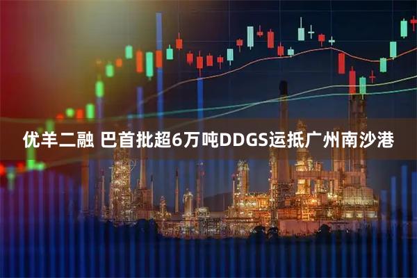 优羊二融 巴首批超6万吨DDGS运抵广州南沙港