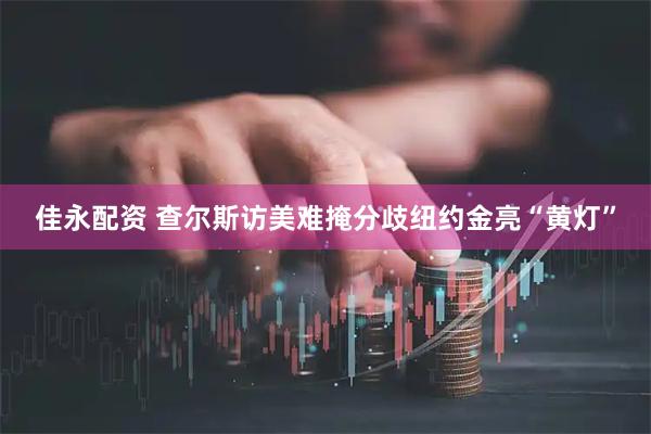 佳永配资 查尔斯访美难掩分歧纽约金亮“黄灯”